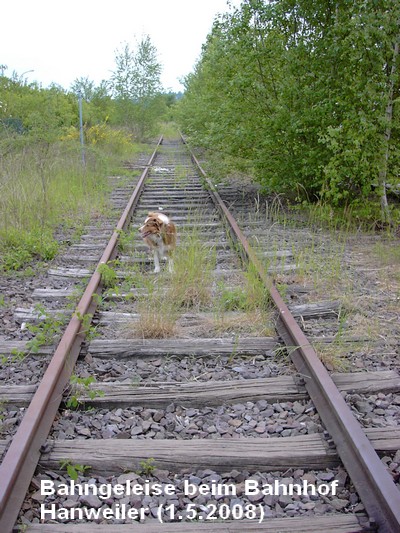 Bahngeleise beim Bahnhof Hanweiler, 1.5.2008 -  2011 sind diese Gleise abgebaut 